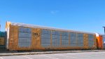 CSX T12478 (Body) CTTX 690102 (Flat)